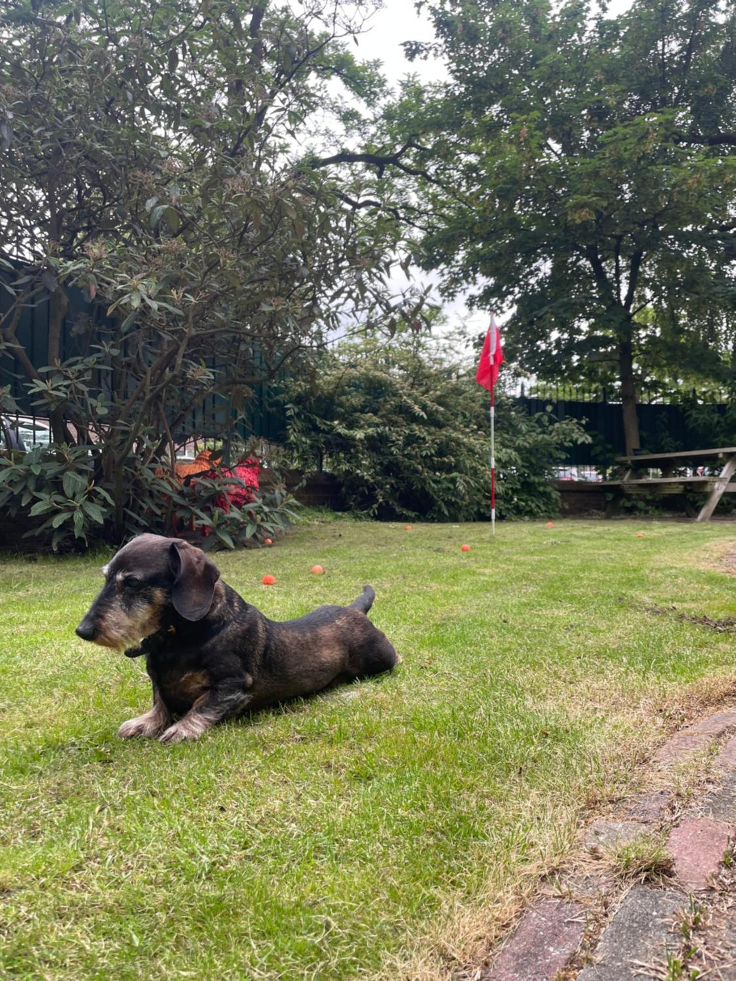 Bommelsteijn Bed & Breakfast
